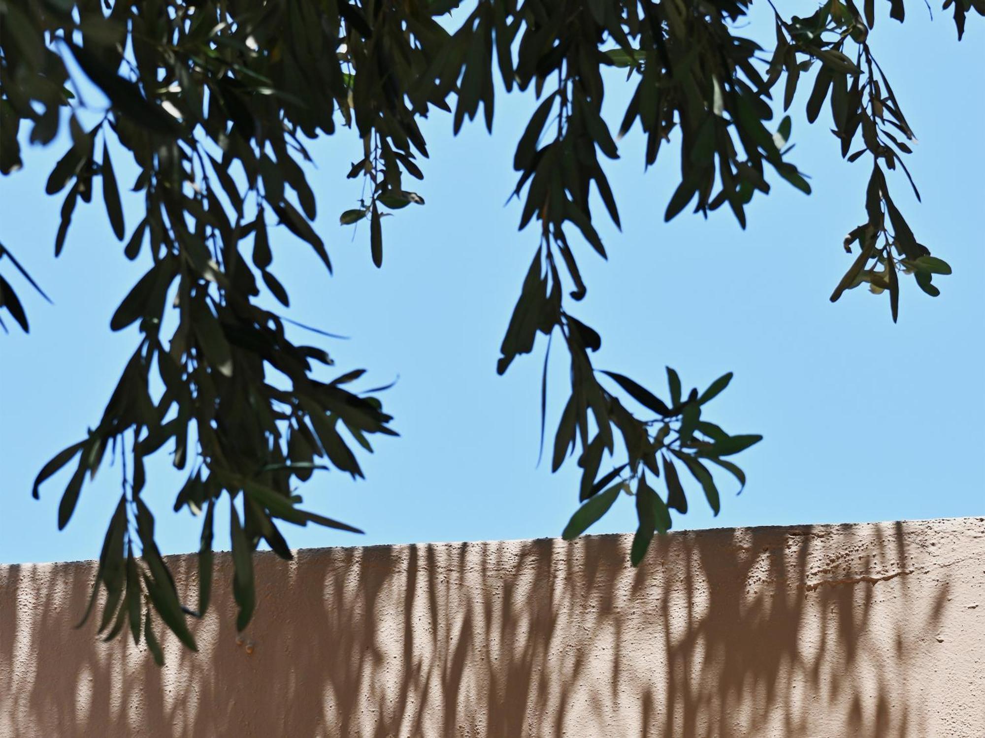 Cape Sounio, A Grecotel Resort To Live Sounion Eksteriør billede